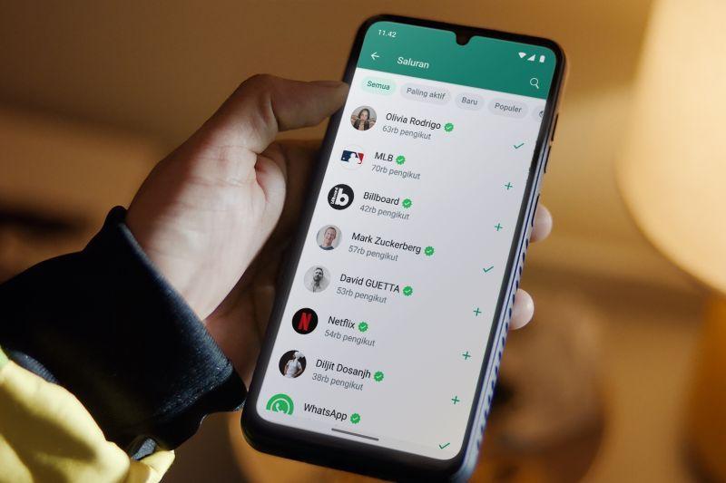 Fitur Baru WhatsApp, Pengguna Dapat Akses Informasi dari Sumbernya via Saluran