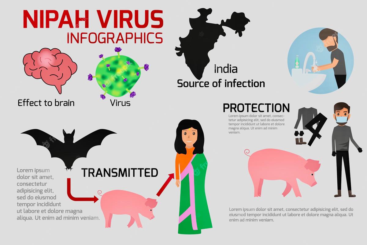 Gejala Mirip Flu! Kenali Virus Nipah yang Banyak Merenggut Nyawa di India