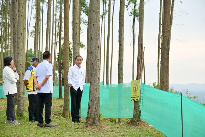 Jokowi Ajak Para Menteri Nikmati Pagi di IKN