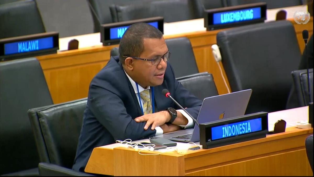 Di Pertemuan Tingkat Tinggi PBB, Pimpinan Komisi IX DPR Tegaskan Kembali Komitmen Indonesia Akhiri TBC