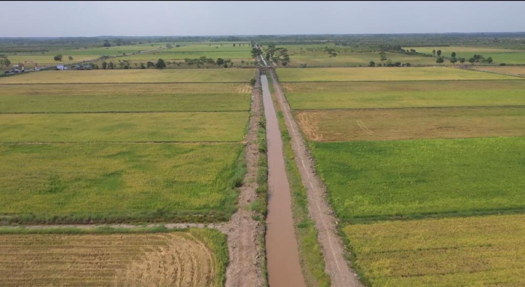 Food Estate Berjalan Baik dan Memberi Dampak Positif