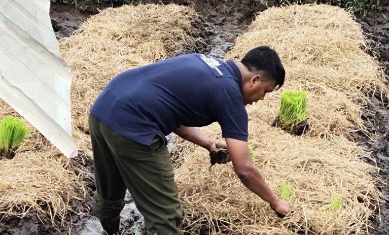 Program Udara Bersih, Aceh Barat Kelola Lahan Tanpa Bakar