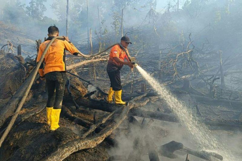 BMKG: Sebanyak 199 Titik Panas Terdeteksi di Kalimantan Timur