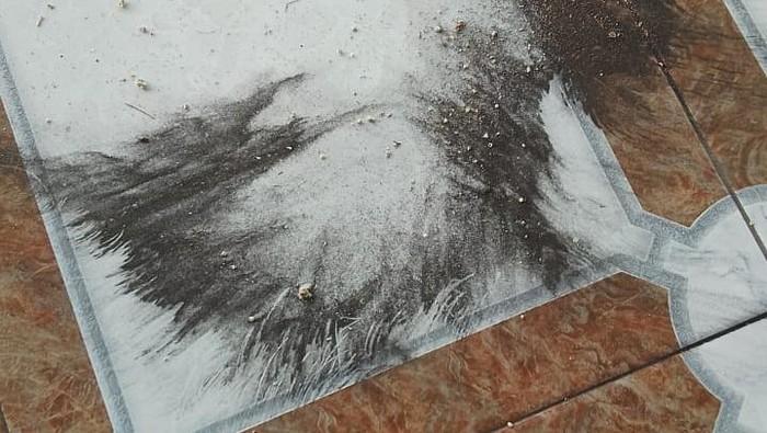 Timbulkan Debu ke Permukiman Warga, DLH Cilegon Segera Cek Izin Perusahaan Batu Bara