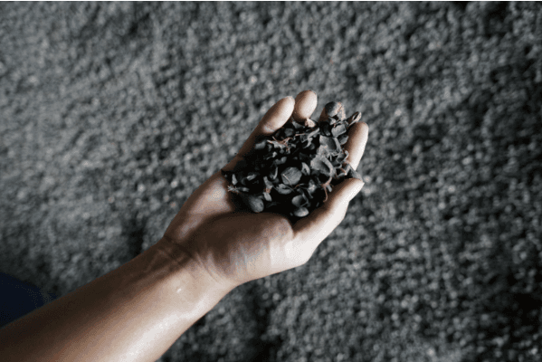 Beri Kemudahan Pelayanan, Bea Cukai Berhasil Antar Ekspor dari Palu dan Ambon