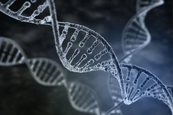 Nekat Tes DNA Karena Merasa Tak Mirip dengan Anak, Pria Ini Syok dengan Hasilnya