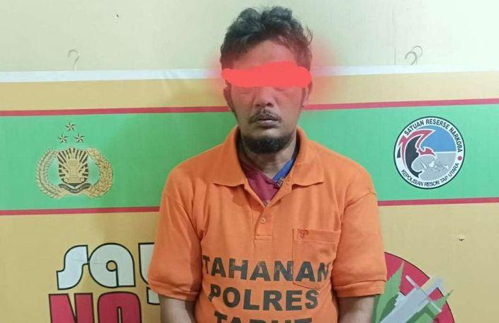 Ajak Warga Konsumsi Ganja, Pria di Tapanuli Utara Ini Ditangkap Polisi