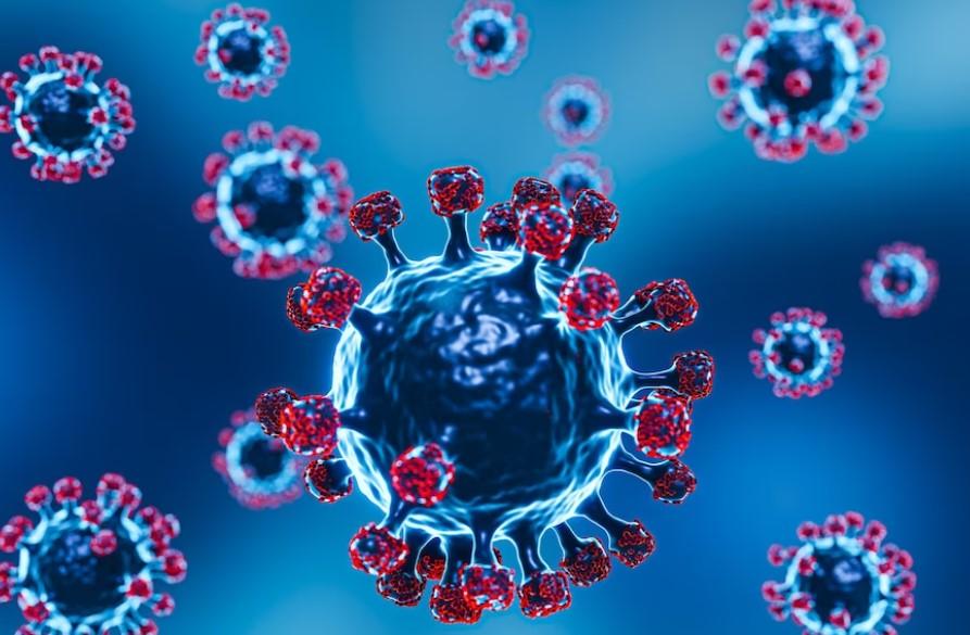 Dinkes DKI Bersama dengan Kemenkes Pantau Penyebaran Monkeypox (Cacar Monyet)