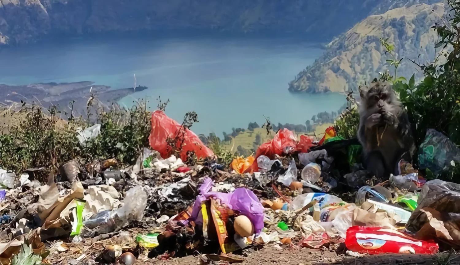 Ramai-ramai Bersihkan Sampah di Jalur Pendakian Gunung Rinjani