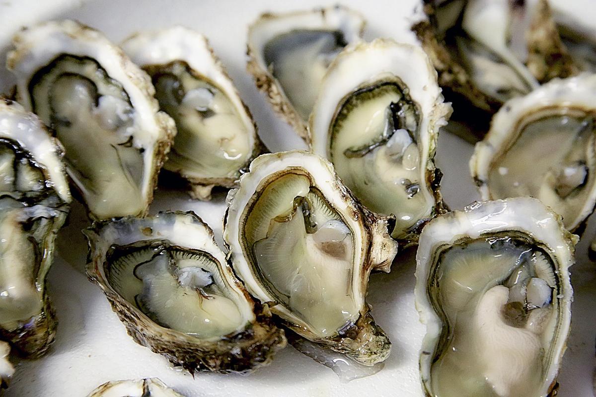 Hati-hati! Makanan Bergizi Ini Bisa Tingkatkan Risiko Terkena Asam Urat