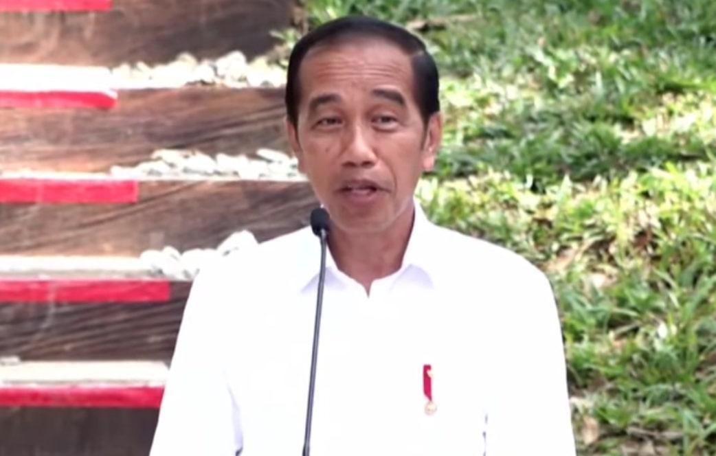 Jokowi Ingin Pembangunan IKN Maju Terus: Pinjam Dulu Seratus