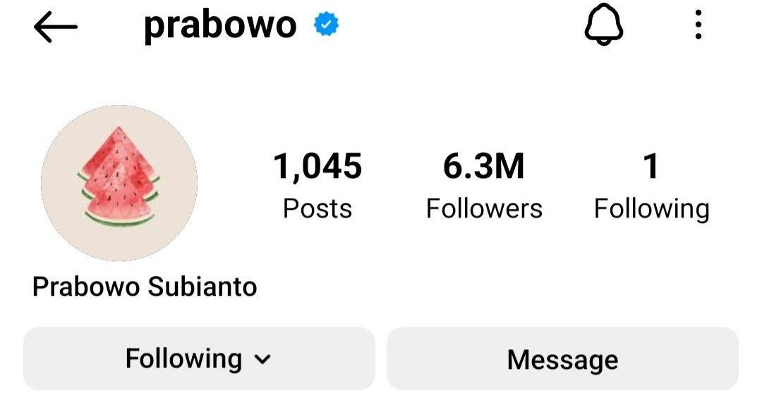 Foto Profil IG Prabowo Berubah jadi Semangka Sebagai Bentuk Bela Palestina