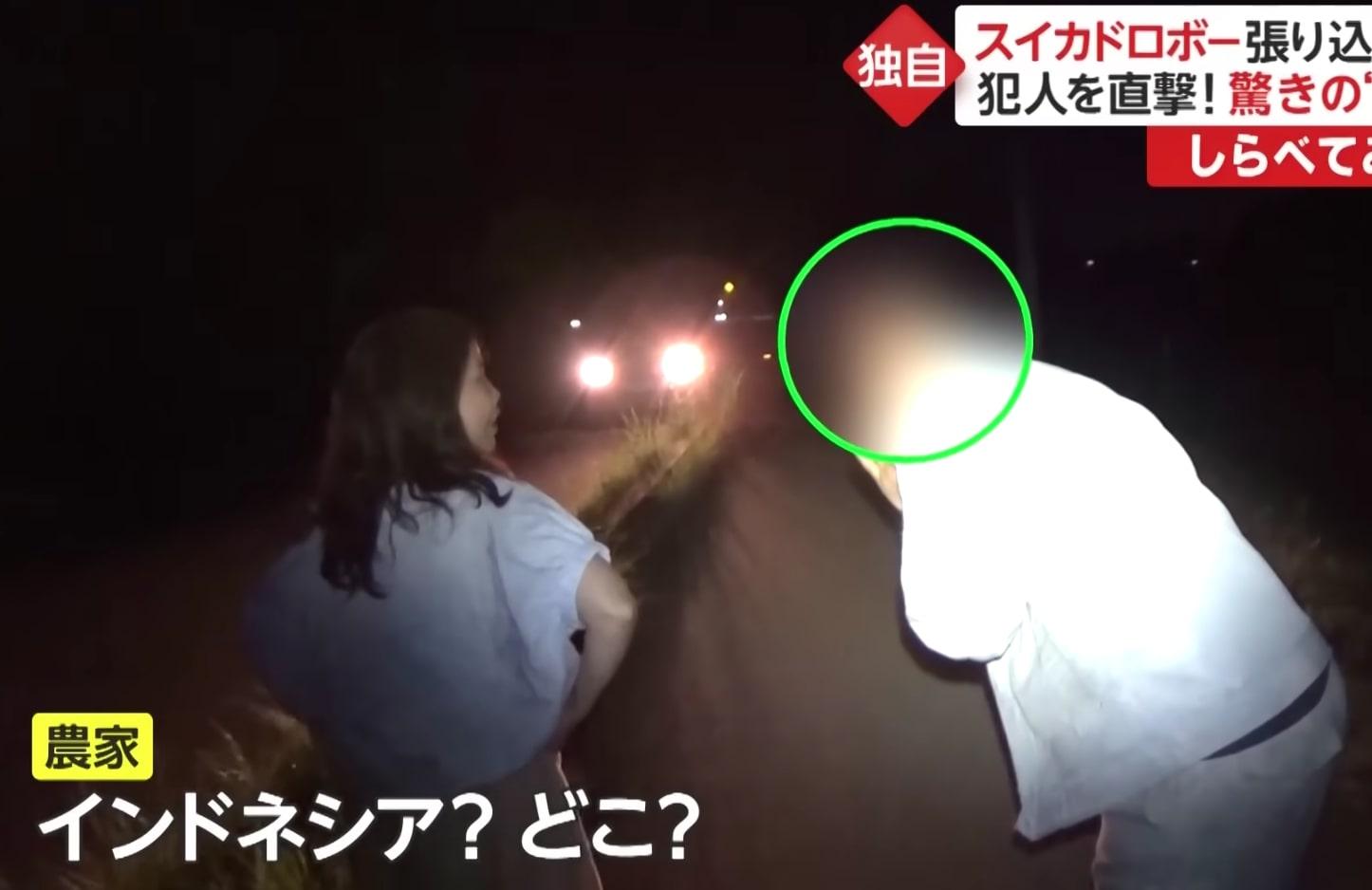 Miris, WNI Dituduh Curi Semangka di Jepang, padahal Pelaku Warga Thailand