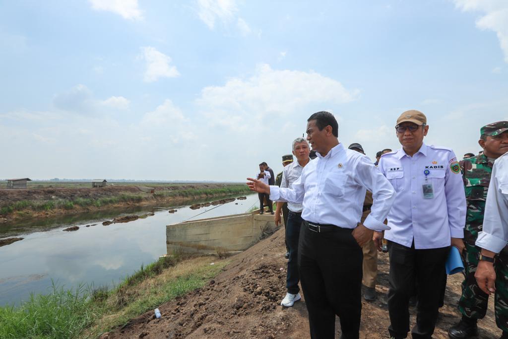 Mentan Amran Optimasi Lahan Rawa Naikkan Indeks Pertanaman di Ogan Ilir