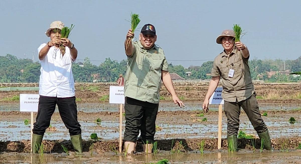 Kementan Genjot Akselerasi Tanam Padi pada Oktober 2023-Maret 2024 di Karawang
