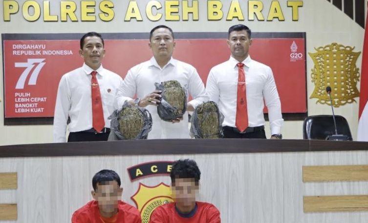 2 Pria Pengedar 3 Kg Ganja di Aceh Ditangkap Polisi
