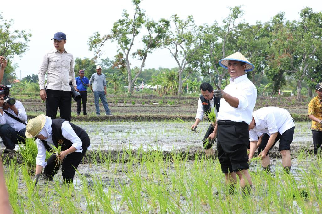 HIMA IPB: Kami Dukung Kementan Optimalkan Lahan Rawa jadi Lahan Produktif