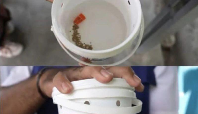 Peneliti UGM Pastikan Teknologi Wolbachia Tak Miliki Risiko Berbahaya hingga 30 Tahun