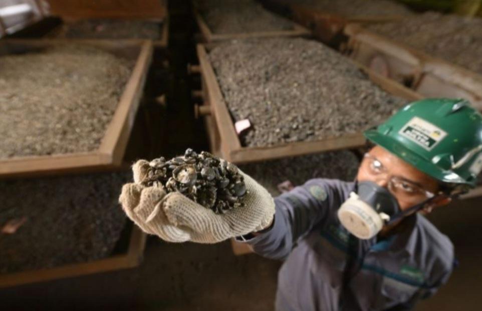 Anak Buah Zulhas Klaim RI Diuntungkan dari Banding Nikel di WTO