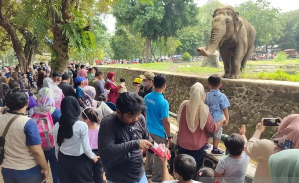 Arus Balik di Taman Margasatwa Ragunan Terpantau Macet Parah