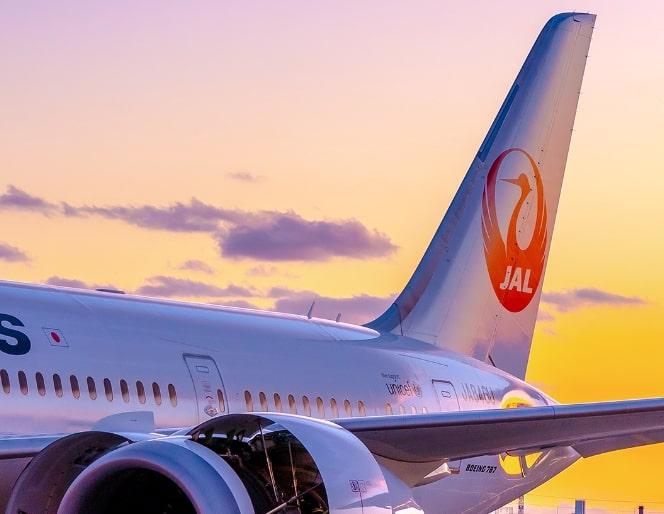 Imbas Kecelakaan Pesawat, JAL dan ANA Batalkan 390 Penerbangan Lokal