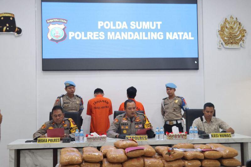 2 Pria Asal Padang Diduga Kurir 116 Kg Ganja Berujung Ditangkap, Segini Upahnya
