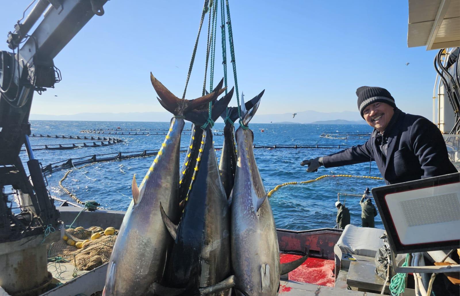 KKP akan Adopsi Teknologi Budidaya Tuna dari Turki