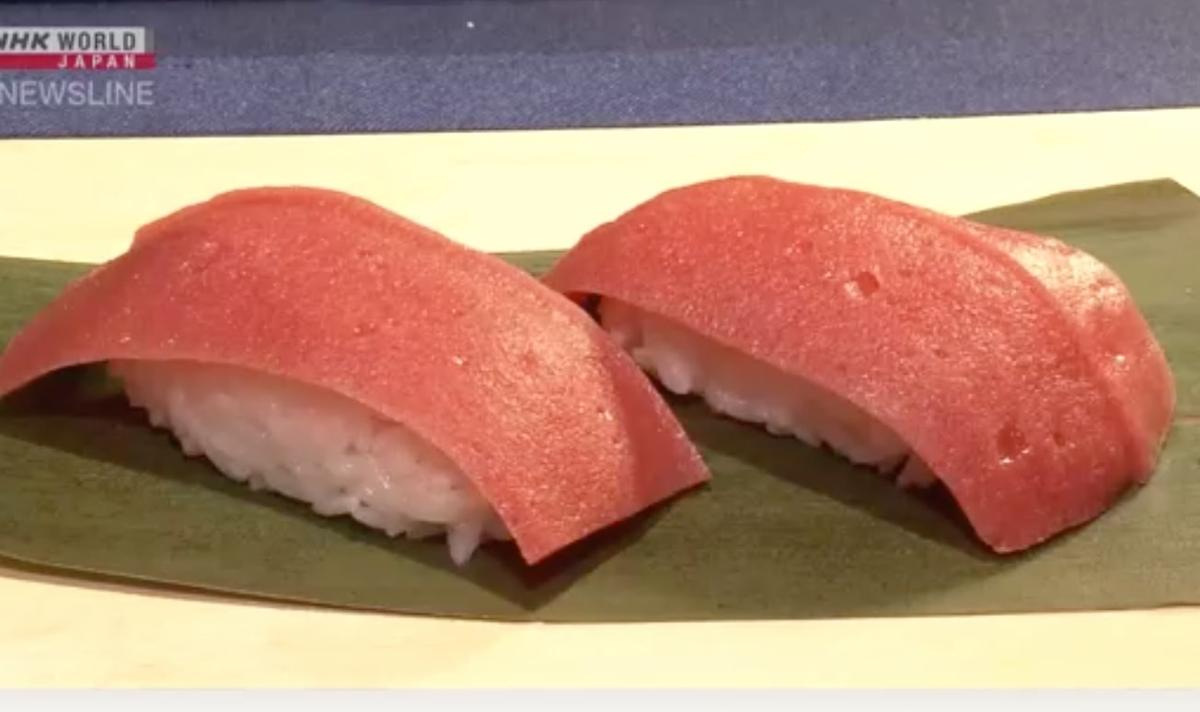 Jaga Kelestarian Tuna di Laut, Jepang Ciptakan Daging Tuna Berbahan Dasar Nabati
