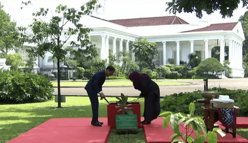 Jokowi dan Presiden Tanzania Tanam Pohon Perdamaian di Istana Bogor