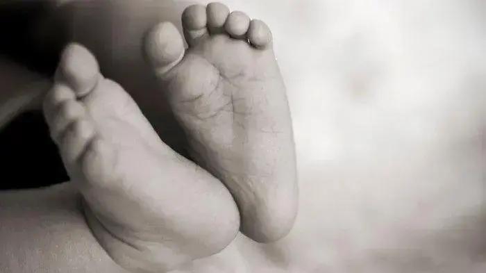 Geger! Bayi Terbungkus Kresek Ditemukan di Ciomas Bogor