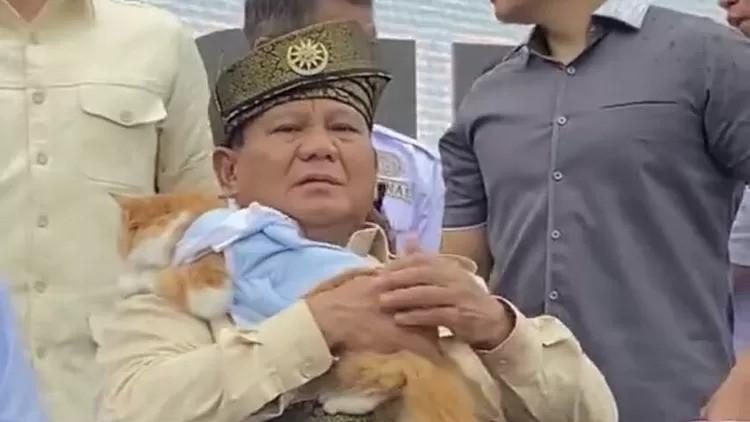 Prabowo Pelihara Tiga Anak Kucing Huni Kantor Kemhan RI Diduga Ditinggal Induknya