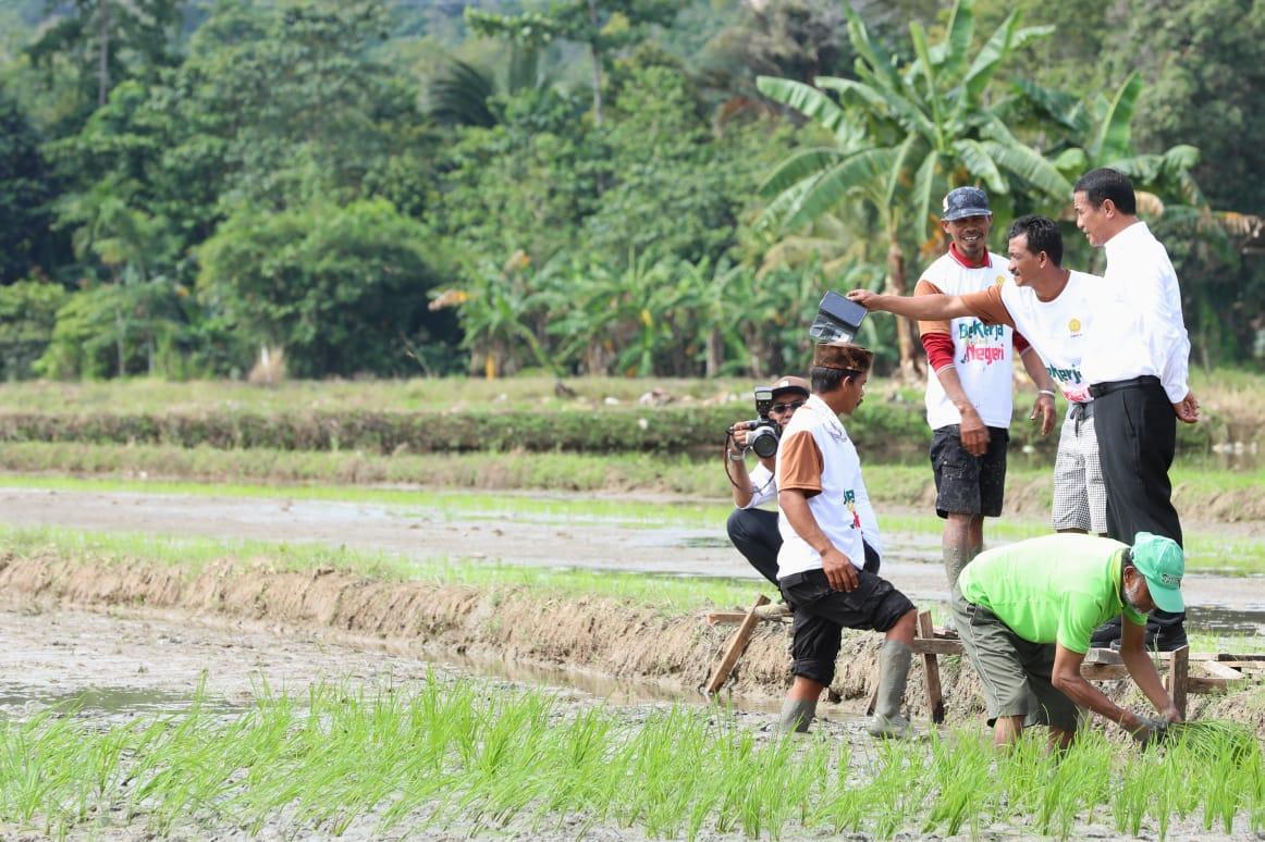 Kunjungan ke Palopo, Mentan Amran Pastikan Permudah Urusan Petani  Dalam Berproduksi