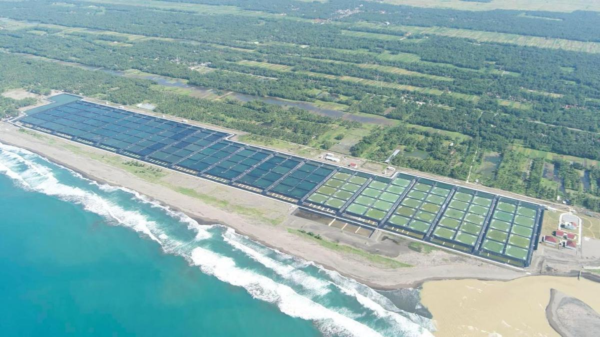 KKP dan Pemkab Sumba Timur Sepakat Gunakan Lahan Bangun Modeling Budi Daya Udang