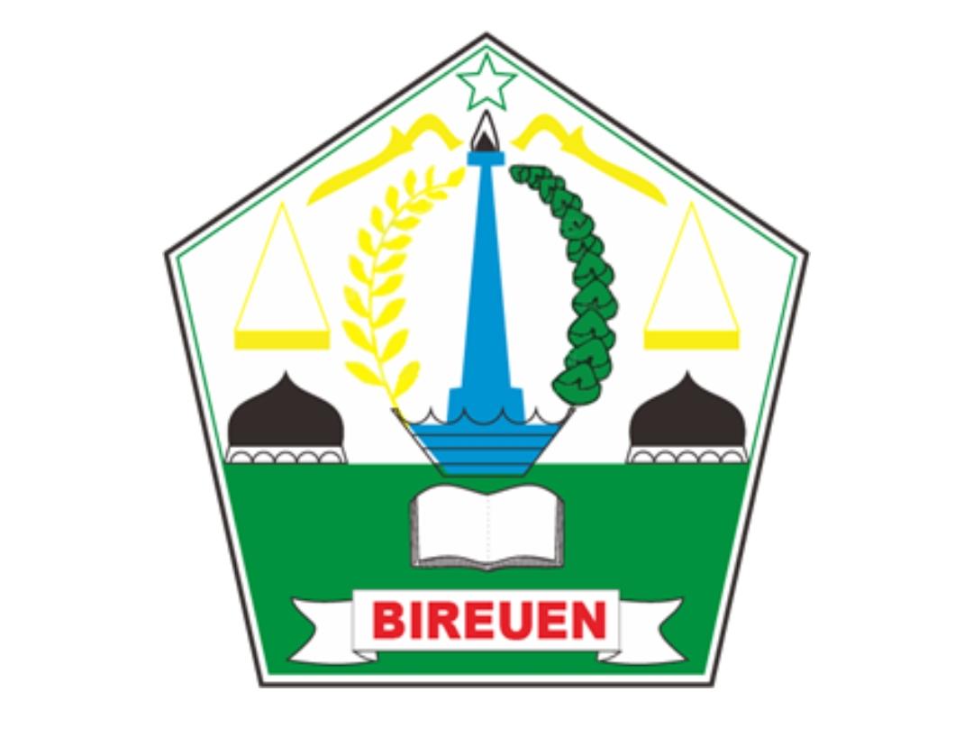 Pernah Jadi Ibukota Indonesia, Ini Alasan Kota Bireuen Dijuluki Kota Juang