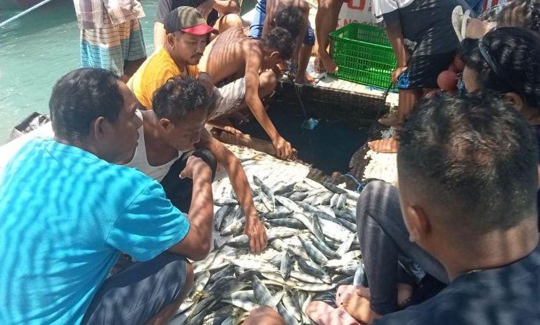 Gegara Cuaca Buruk, Harga Ikan di Kupang Naik Capai Rp75 Ribu Per Kg