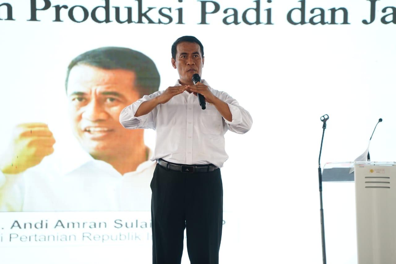 Mentan Pastikan Pertanaman 2024 Aman