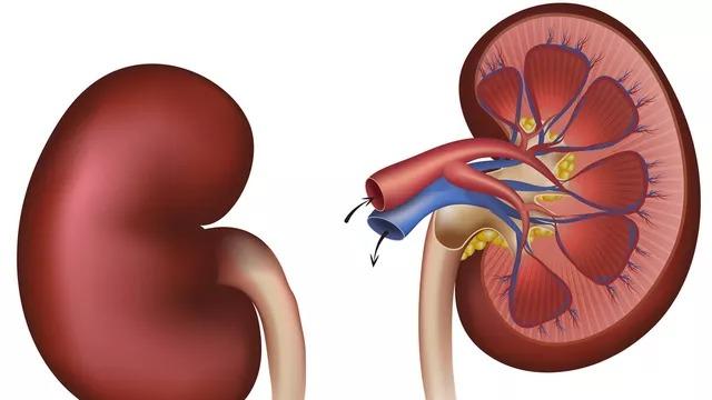 BPJS Klaim Habiskan Dana Rp2,92 T gegara Penyakit Gagal Ginjal Meroket