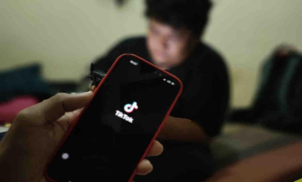 Langgar Permendag, Anggota DPR Desak Pemerintah Tindak Tegas TikTok