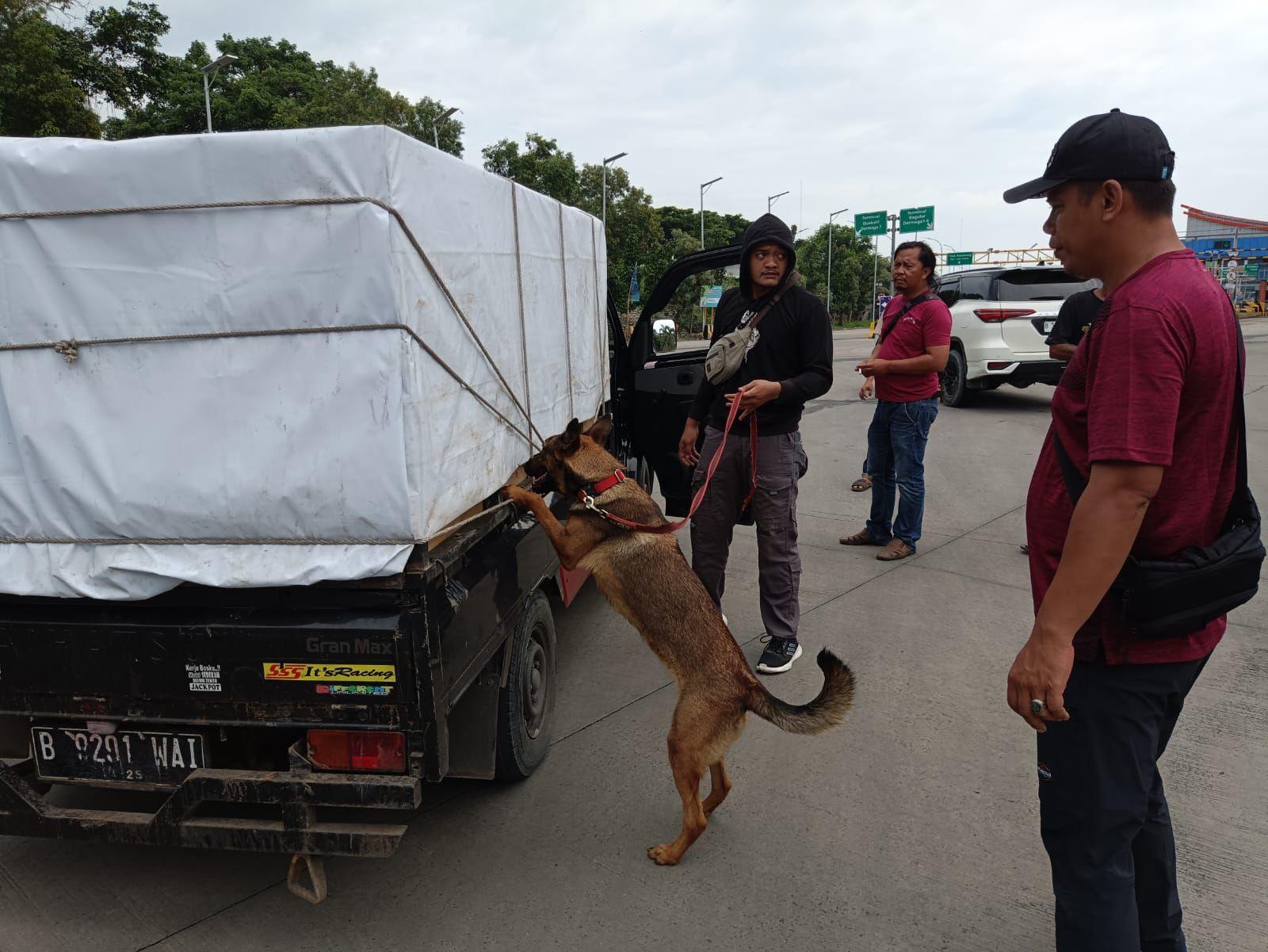 Anjing K9 Polri Gagalkan Penyelundupan 80 Kg Sabu di Pelabuhan Bakauheni Lampung