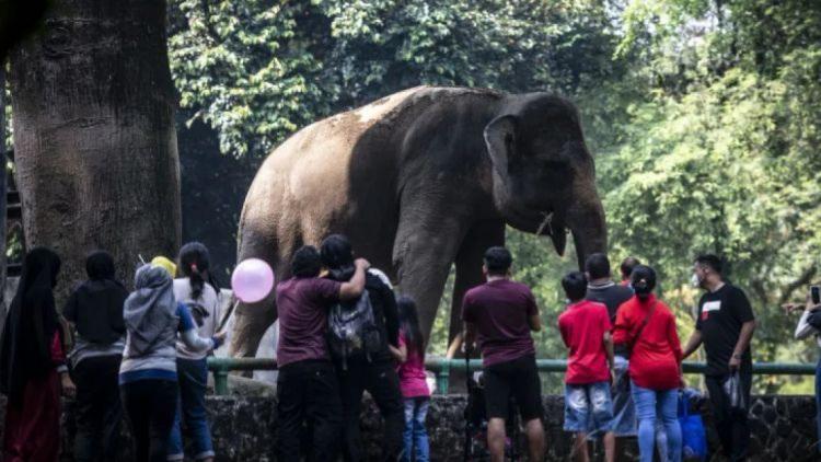 Wisatawan Masih Padati TMR di H+5 Lebaran 2024