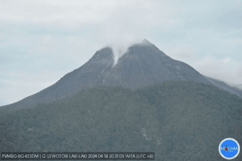 Aktivitas Kegempaan Lewotobi Laki-laki Fluktuatif
