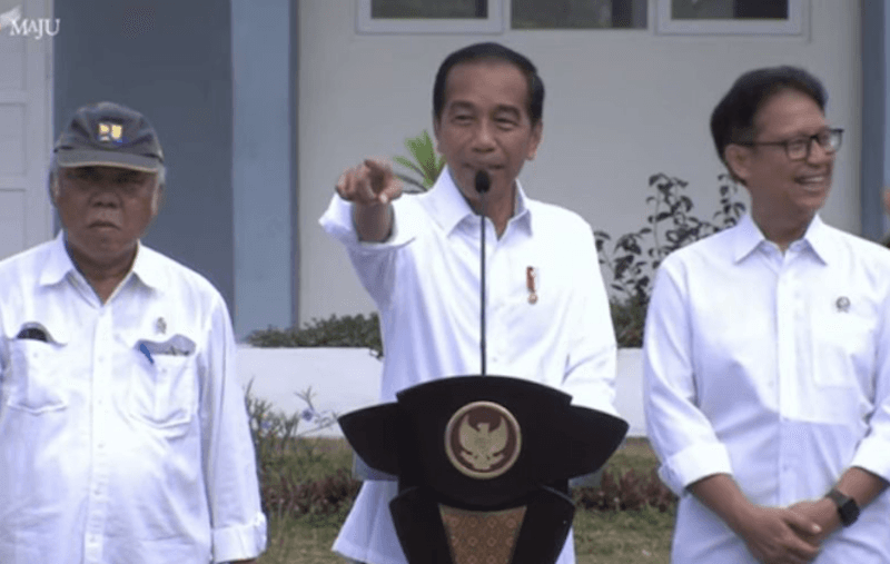 Jokowi Sebut Ada Hal Terpenting dari Putusan MK