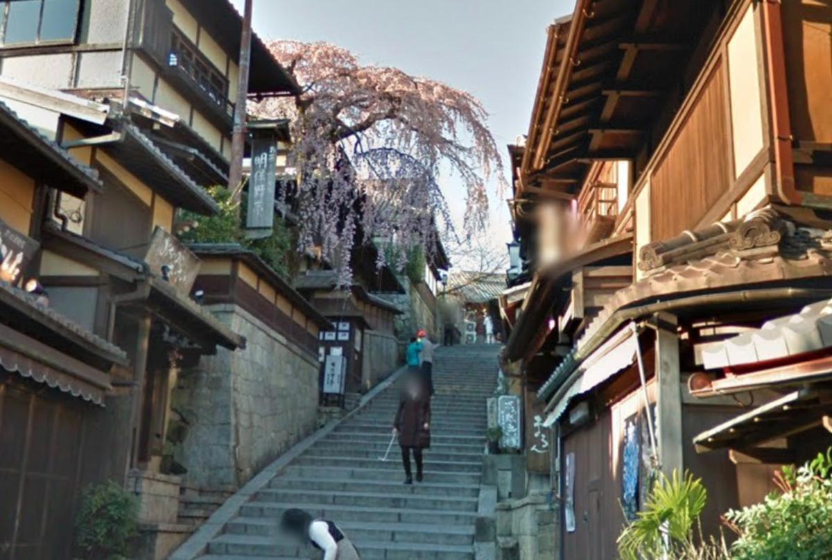 Bruk! Lansia di Jepang Tertimpa Pohon Sakura hingga Cidera