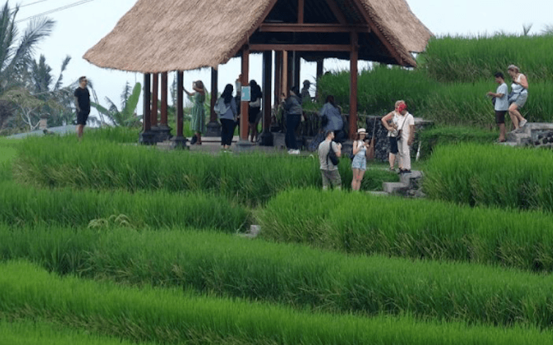 Belasan Ribu Personel TNI Diterjunkan untuk Amankan WWF di Bali