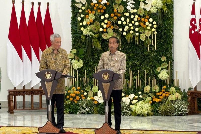 Jokowi Klaim 29 Perusahaan Singapura Tertarik Investasi di IKN