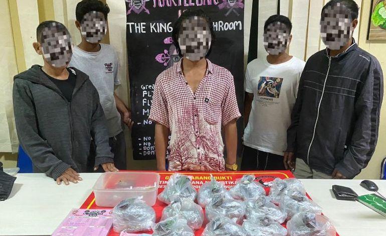 Jual Jamur Ajaib di Gili Trawangan, 5 Orang Ditangkap Polisi