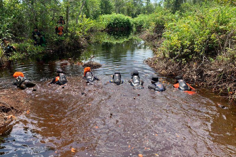 Seminggu Tak Ditemukan, Pencarian Mahasiswa Hilang di Hutan Kapuas Diperpanjang