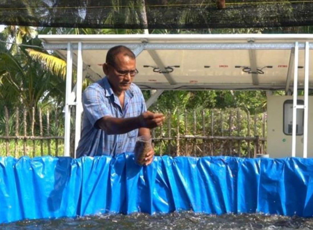 Inalum Dukung Budidaya Perikanan Daratan lewat PLTS