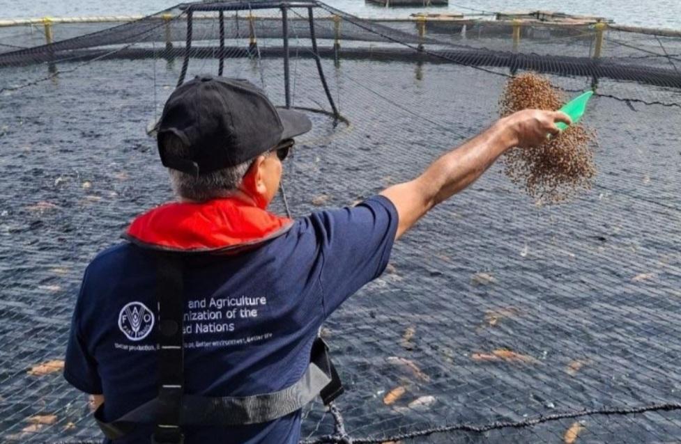 FAO dan IPB Kompak Sambangi Sumut Pantau Penerapan Ekonomi Biru