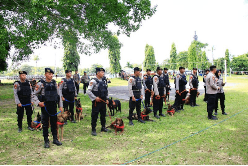 39 Ekor Anjing Pelacak K-9 Diterjunkan Guna Amankan World Water Forum